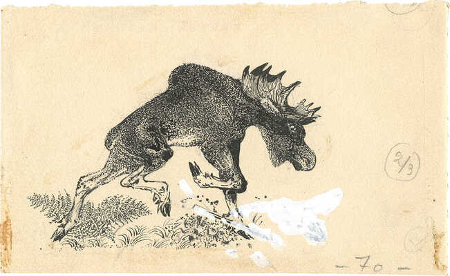 Курдов Валентин Иванович. Лось. Иллюстрация к рассказу «Одинец» из кн.: Бианки В. Повести и рассказы